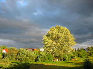Ein idyllischer Blick aus ihrer Ferienwohnung